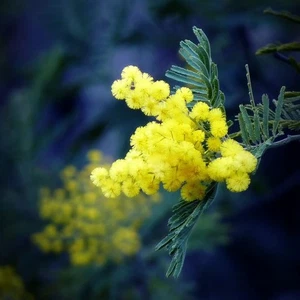 Novembre 48 - Foto 1 di 1