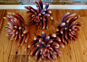 Large Succulent Look Faux Plants Set Of 4 - Picture 1 of 10