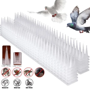 10m Taubenabwehr Spikes Taubenschreck für Balkon Vogelabwehr Spikes Taubenspikes - Bild 1 von 24