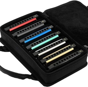 EASTTOP Diatonic Harmonica Set of 7 10Holes Blues Harp Mouth Organ Harmonica Set - Picture 1 of 7