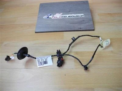 8Tkm Skoda Octavia 5E Cablaggio Kessy Porta Guida Chiusura 5E0972297 - Immagine 1 di 2