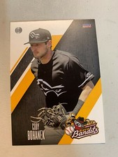 Cody Bohanek Card 2018 Quad Cities River Bandits Team Card