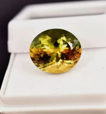 VVS Tourmaline  Bi-Color Oval Cut 12-14 Ct Natural Loose EGL Certified Gemstone - Image 1 of 4