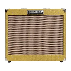 Strauss SVT-20R 20 Watt Combo Valve Amplifier with Reverb (Tweed) Brand New - Foto 1 di 5