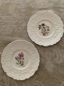 Royal Cauldon Bristol ironstone Woodstock dishes -made in England-set of 2 - Picture 1 of 10