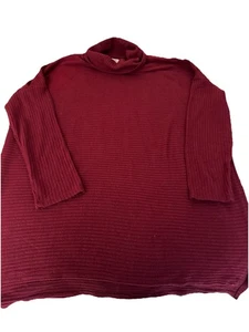 BONITA túnica suéter cuello capucha Time & Tru XL 16 18 para mujer - Imagen 1 de 3