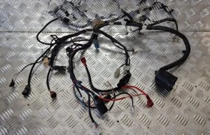 Zontes Firefly 125 Main Wire Loom Harness - Picture 1 of 11