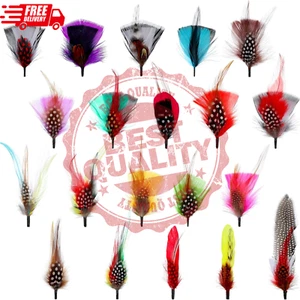 20 Pcs Hat Feathers, Assorted Feathers for Hats Colorful Real Feathers Accessori - Picture 1 of 7