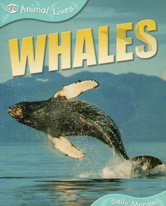 Animal Lives: WALE, Sally Morgan - Key Stage 2 Sachbuch Taschenbuch. - Bild 1 von 3