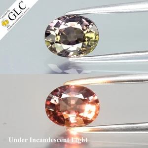 💎 GLC CERTIFIED 1.23ct Oval Natural Color Change Sapphire - Unheated Gemstone - Picture 1 of 9