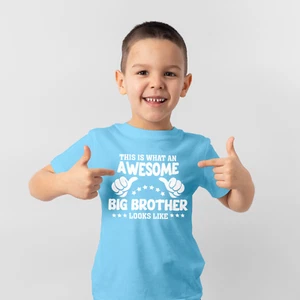 Big Brother Kids T-Shirt boys this is what an Awesome Brother looks like - Picture 1 of 12