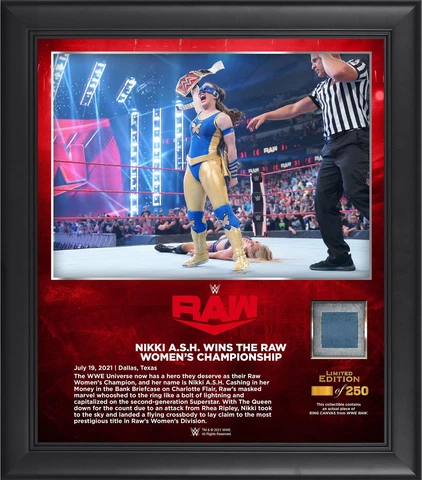 Nikki A.S.H. World Wrestling Entertainment Framed 15" x 17" July Cover