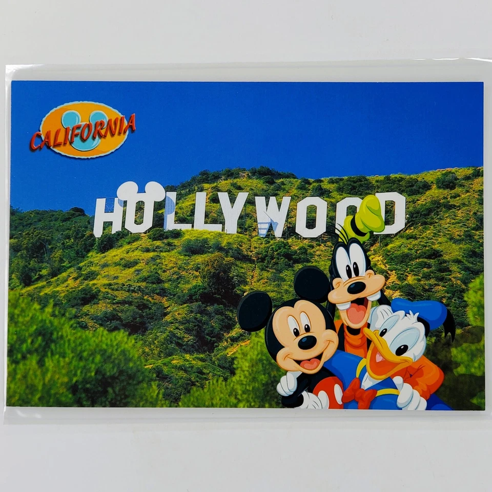 Florida Disney Characters Goofy Mini Micky Donald Duck Disney World Postcard