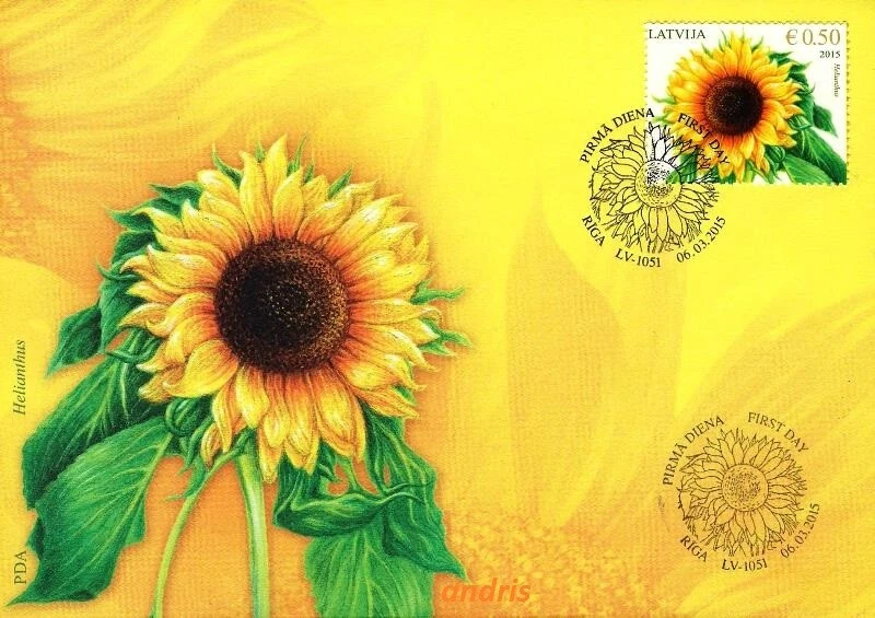Latvia 2015 (07) Sunflower - Sonnenblume - Tournesol (unaddressed FDC) - Image 1 of 1