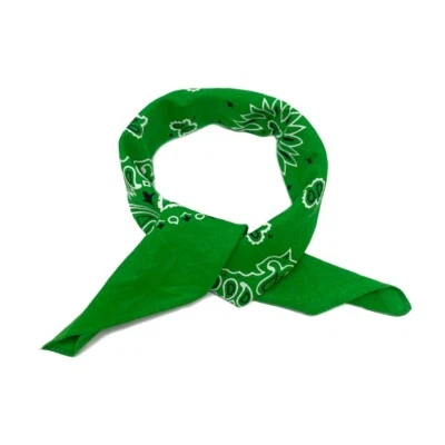 Bandana de cachemira de algodón Rothco 4349 Trainmen - verde Foto 1 de 4