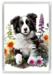 BORDER COLLIE HERMOSO CACHORRO PERRO ARTE IMPRESIÓN NOVEDAD NEVERA IMÁN GRAN REGALO - Imagen 1 de 1