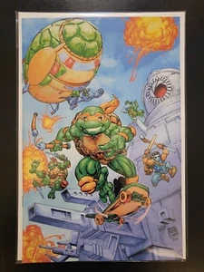 TMNT: SATURDAY MORNING ADVENTURES #4 RARE 1:25 WILLIAMS VIRGIN VARIANT - IDW - Picture 1 of 1