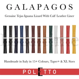 GALAPAGOS Hecho a Mano Genuino Premium Iguana Lagarto Reloj Correas POLETTO Cinturini - Imagen 1 de 47