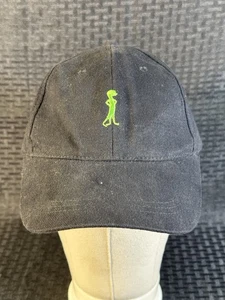 Gorra de béisbol GEICO Gecko promoción seguro - Imagen 1 de 17