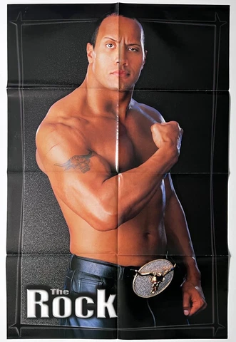 WWE THE ROCK - BILLY & CHUCK 21.5 x 32.5 double sided Wrestling Poster wwf Cover