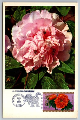 #5057 Chinese Lunar New Year FDC Maxi Cards on China PC (1960's) w/Pict Cancels - Image 1 of 4