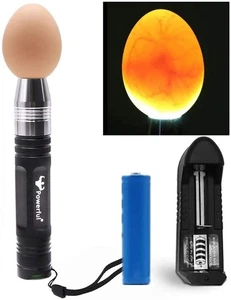 Leistungsstarker Profi LED Licht Eierkerze Inkubator Edelstahl Tester... - Bild 1 von 8