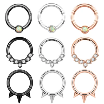 Anillo de nariz de acero inoxidable de 1 pieza 16 g circonita cúbica cristal piercings clicker aros de 8 mm Foto 1 de 4