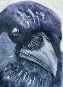 Original Watercolour Raven Painting ACEO - Picture 1 of 4