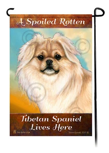 A Spoiled Rotten Cream Tibetan Spaniel Lives Here - Picture 1 of 1