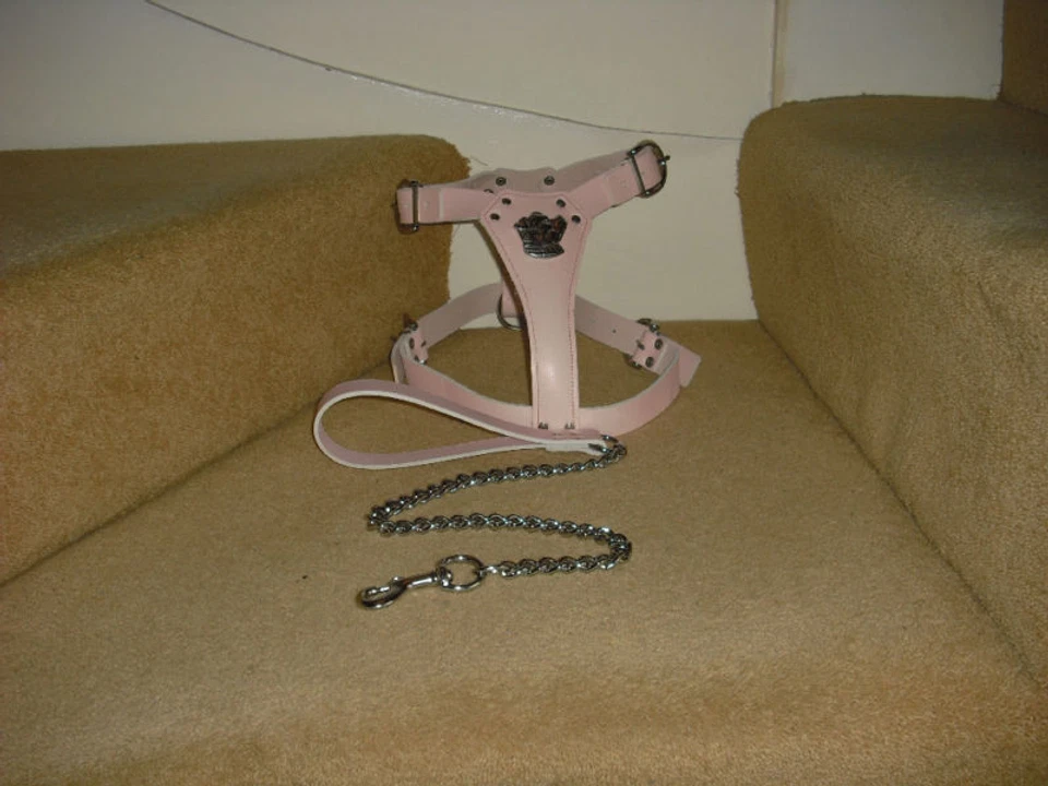 PINK  PADDED LEATHER DOG HARNESS FOR STAFFY WITH LEAD BRAND NEW - Image 1 of 4