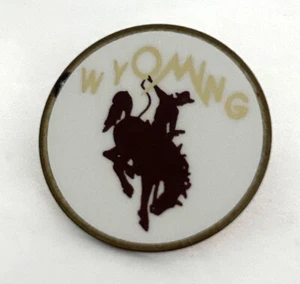 Vintage Odyssey of the Mind Wyoming Cowboy Horse Rodeo Lapel Pin OM OotM - Picture 1 of 3