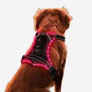 Chaleco Ajustable Malla Suave Perro Arnés LED Brillante Perro Paño para Caminar Nocturno - Imagen 1 de 17