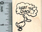 What the Quack Rubber Stamp, Duck D32814 WM