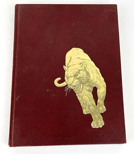 Camden High School Memini Yearbook San Jose California 1967 - Picture 1 of 4