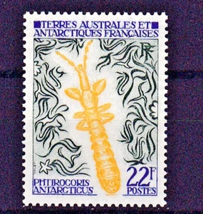 TIMBRE T.A.A.F. 1973 INSECTES N° 50-N**.TB-COTE: 20 EUROS-VOIR SCAN R/V - Picture 1 of 1