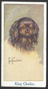 MOUSTAFA - LEO CHAMBERS DOGS HEADS - #18 KING CHARLES SPANIEL
