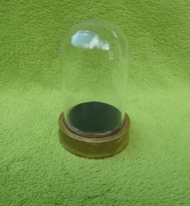 Kleiner Glasdom mit Sockel - Bild 1 von 6
