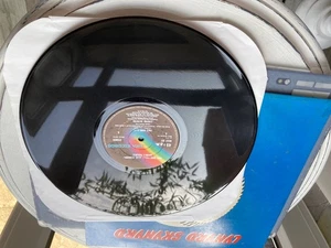 LYNYRD SKYNYRD 1974/5 RARE MINTY ORIG MCA UNP 12” FREEBIRD & SWEET HOME MCAT 251 - Picture 1 of 16