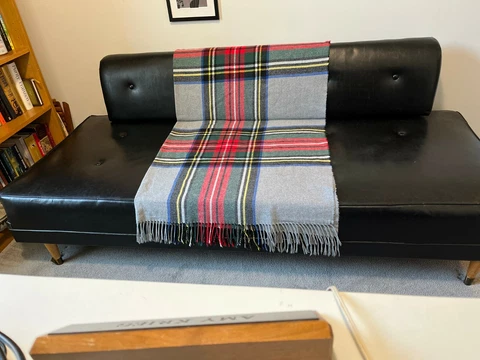 Mid-Century Modern Sofa Cover