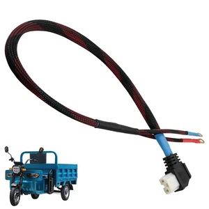 For Electric Tricycle Charging Cable 8AWG Power Cable with Standard T Head 50cm - Picture 1 of 12
