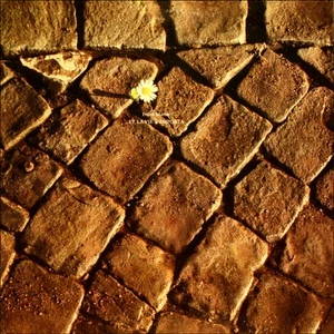 Frank Martin (3) Et La Vie L'emporta - LP 33T - Picture 1 of 3