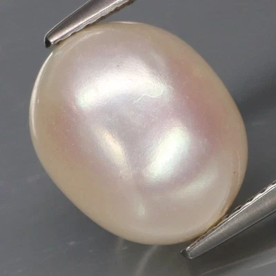10.86Ct.Vintage Natural BIG Creamy White PEARL THAILAND Egg Shape (Drilled) - Image 1 of 4
