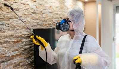 Pest Exterminator Service Business Plan - Image 1 of 3