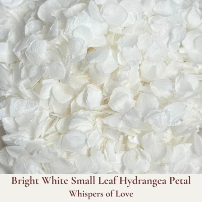 1 Litre Biodegradable Wedding Confetti - Flower Confetti - Dried Flower Petals - image 1 of 4