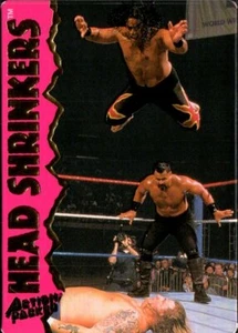 1995 Action Packed WWF Pro Wrestling Card #17 The Headshrinkers - Picture 1 of 2