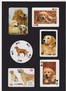 GOLDEN RETRIEVER BERITTEN SAMMLUNG VINTAGE HUNDESPIELKARTEN TOLLES GESCHENK - Bild 1 von 1