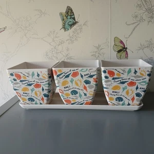 Jardinopia RNLI Bamboo Plant Pot Set x 3 Shell Design Unused No Box - Picture 1 of 7
