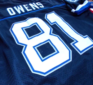 Vintage HOF Terrell Owens Buffalo Bills HUGE/SEWN Jersey ALL-PRO/2000 ALL DECADE - Picture 1 of 8