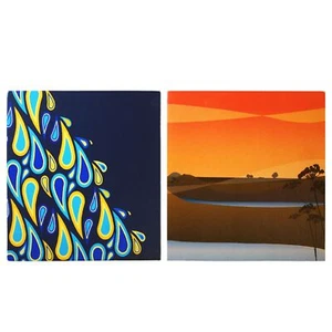 Lemon Jelly : Nice Weather For Ducks DVD single (2003 XL Recordings) UK - Imagen 1 de 4