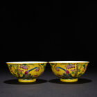 5.9"A Pair Porcelain Qing Dynasty Yongzheng Mark Colour Enamels Flower Bird Bowl